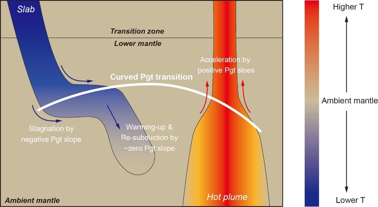 Schematic representation